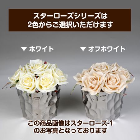 上品なバラ 四方見スタイル サイズ違い