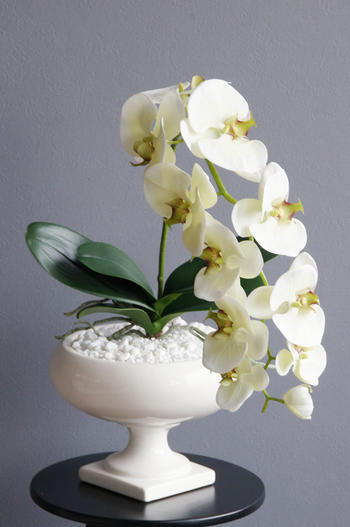 ホワイト胡蝶蘭 ラウンドポット(花器変更) 造花 アートフラワー Akanbi