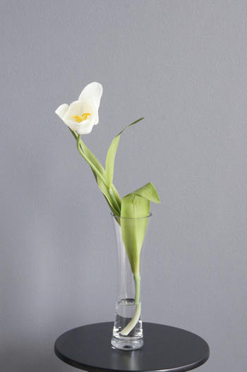 ホワイトチューリップ1輪 フルートベース / 人工水スタイル 造花 アートフラワー Akanbi