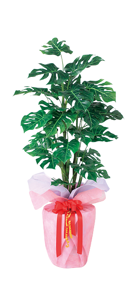 観葉植物ギフトラッピング （タイプA） 造花 アートフラワー Akanbi