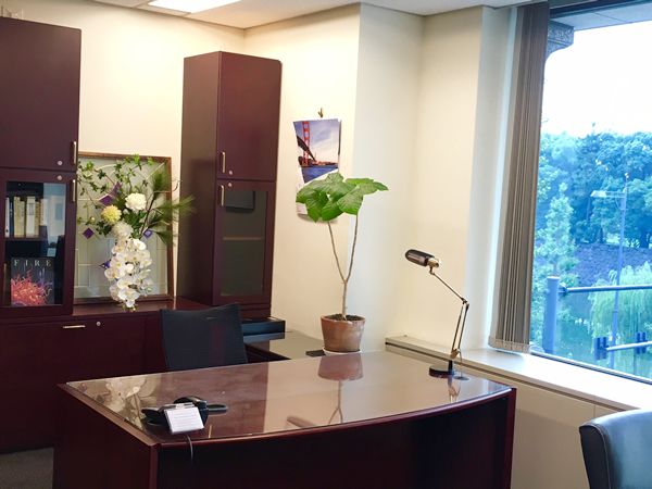 造花　アートフラワー　オフィス　会社　外資系企業　花　飾る