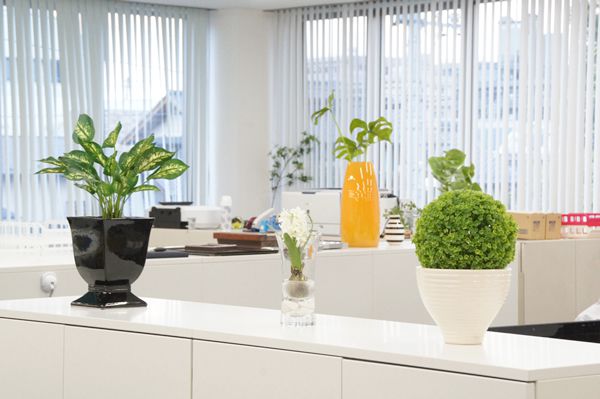 会社　オフィス　造花　人工　観葉植物　グリーン