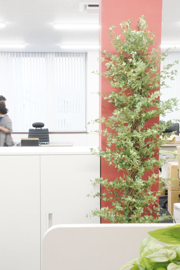 オフィス　グリーン　執務室　会社　人工　観葉植物