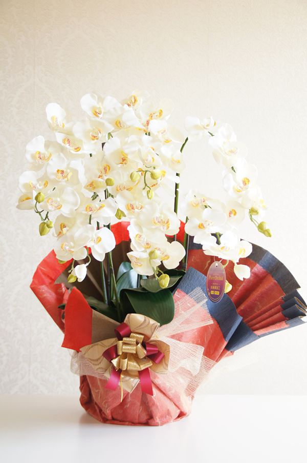 胡蝶蘭　アートフラワー　造花　扇　包装　豪華